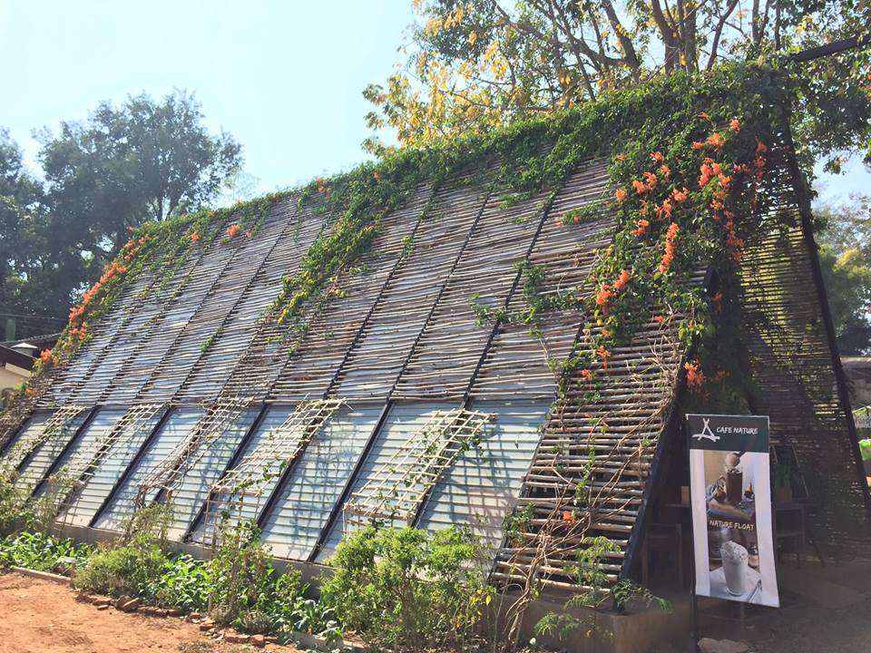 清迈特色美食攻略大全,清迈必吃的100种美食