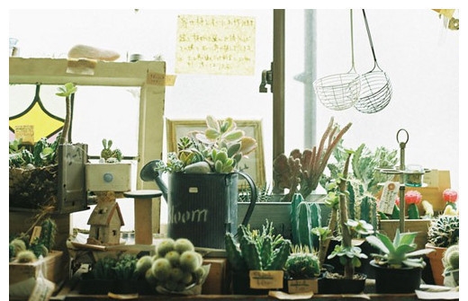 家装布局禁忌大全,家庭装修如何放重要物品