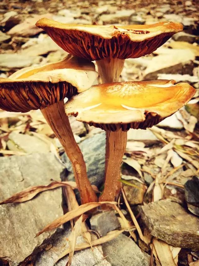 知道自己不够好看,不知道自己拍什么作品好