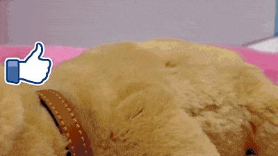 送女儿的玩具推荐,适合送女儿的10款玩具推荐