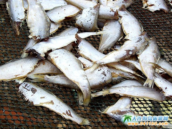 大连旅游攻略赶海和美食,大连旅游攻略必去的十大美食