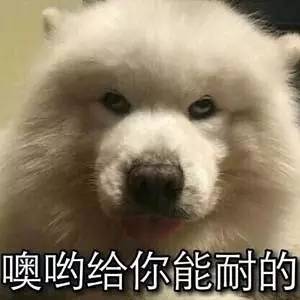 收到的奇葩礼物有哪些,这些你不知道的奇葩礼物