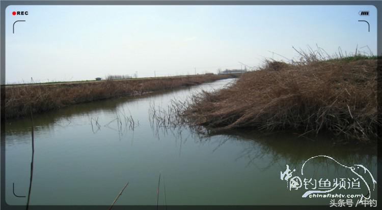 放流才有路亚的乐趣,放流能让资源更丰富