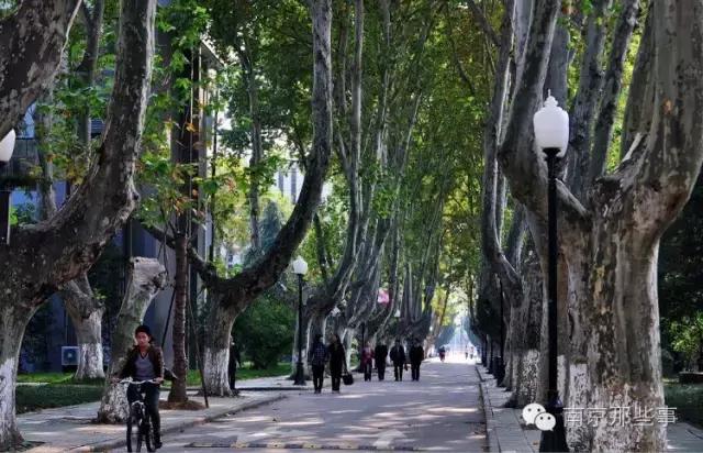不花一分钱游遍中国,南京六个小众景点