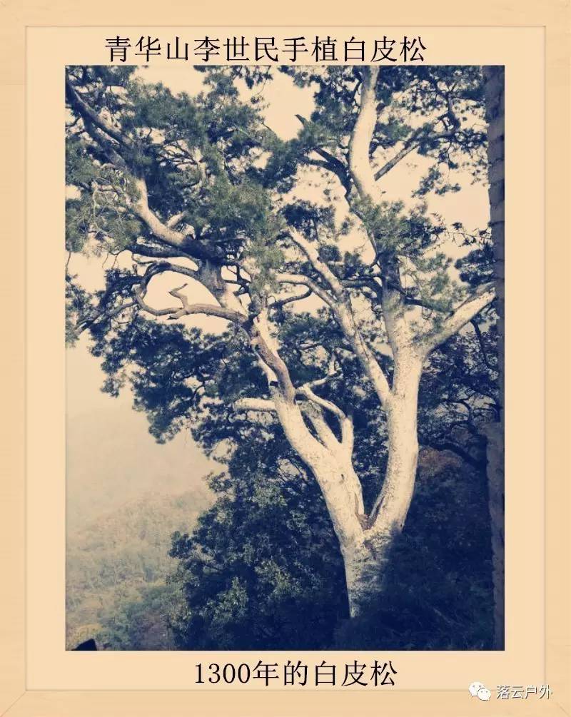 秦岭山脉一共多少山峰,秦岭30座山图