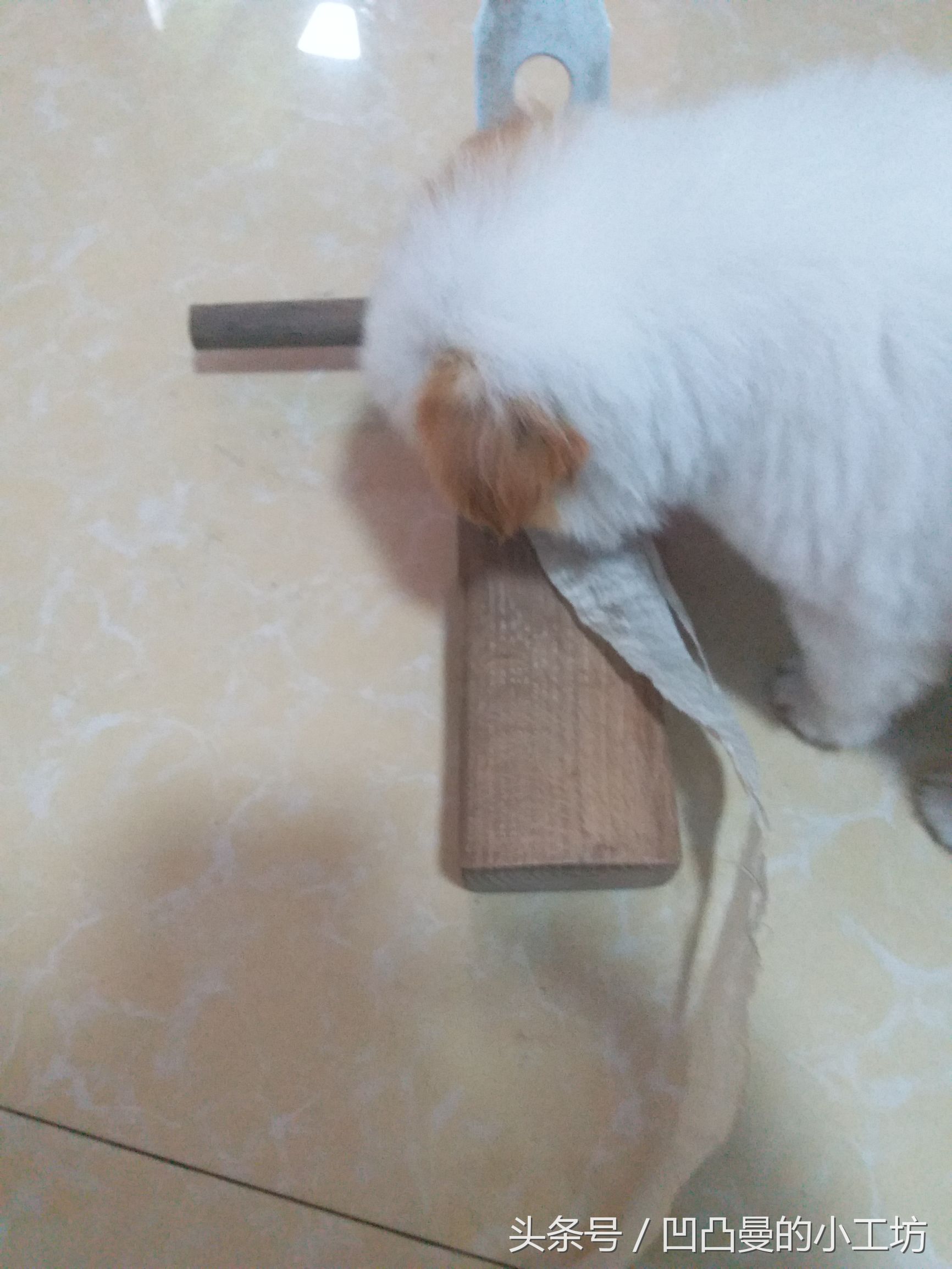 磨石条磨刀教程,教你磨刀入门