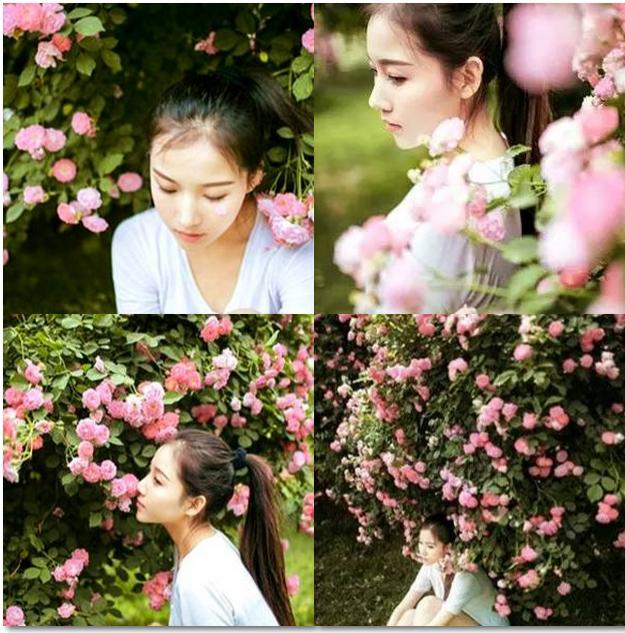 常州花海胜地,常州五月花海尽显美好田园风光