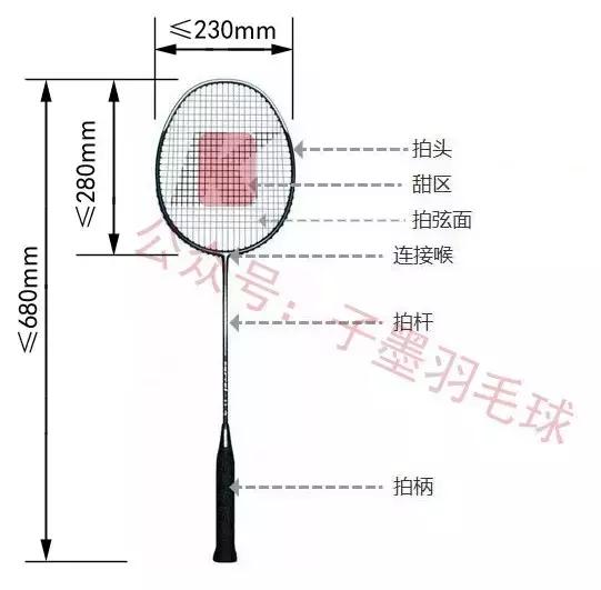从羽毛球入门到摄影精通,从入门到进阶的羽毛球拍子