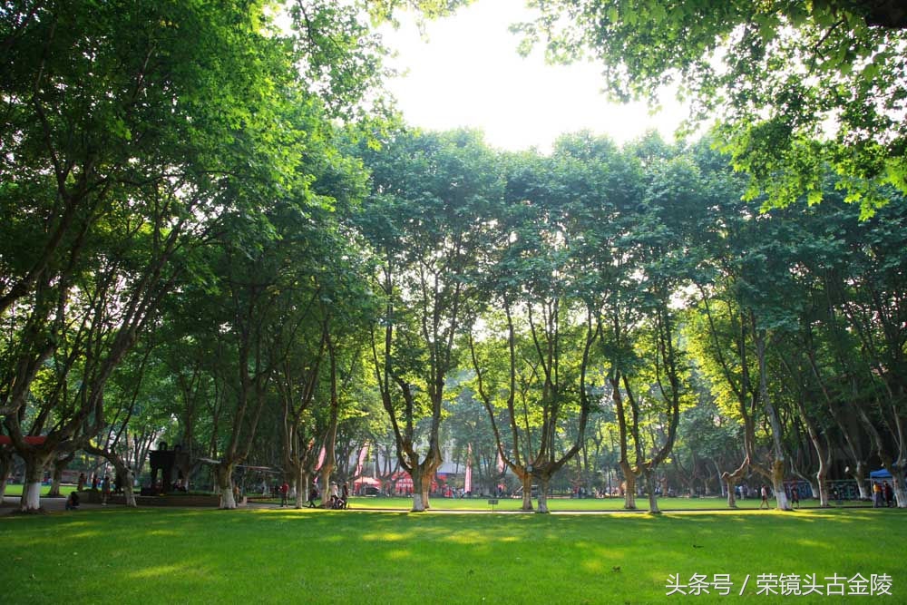 南京的绿湖,南京的月色美到令人窒息