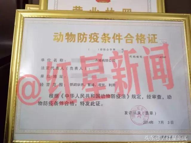 卖鸟被判10年的是什么鸟,养鹦鹉被判刑的案例