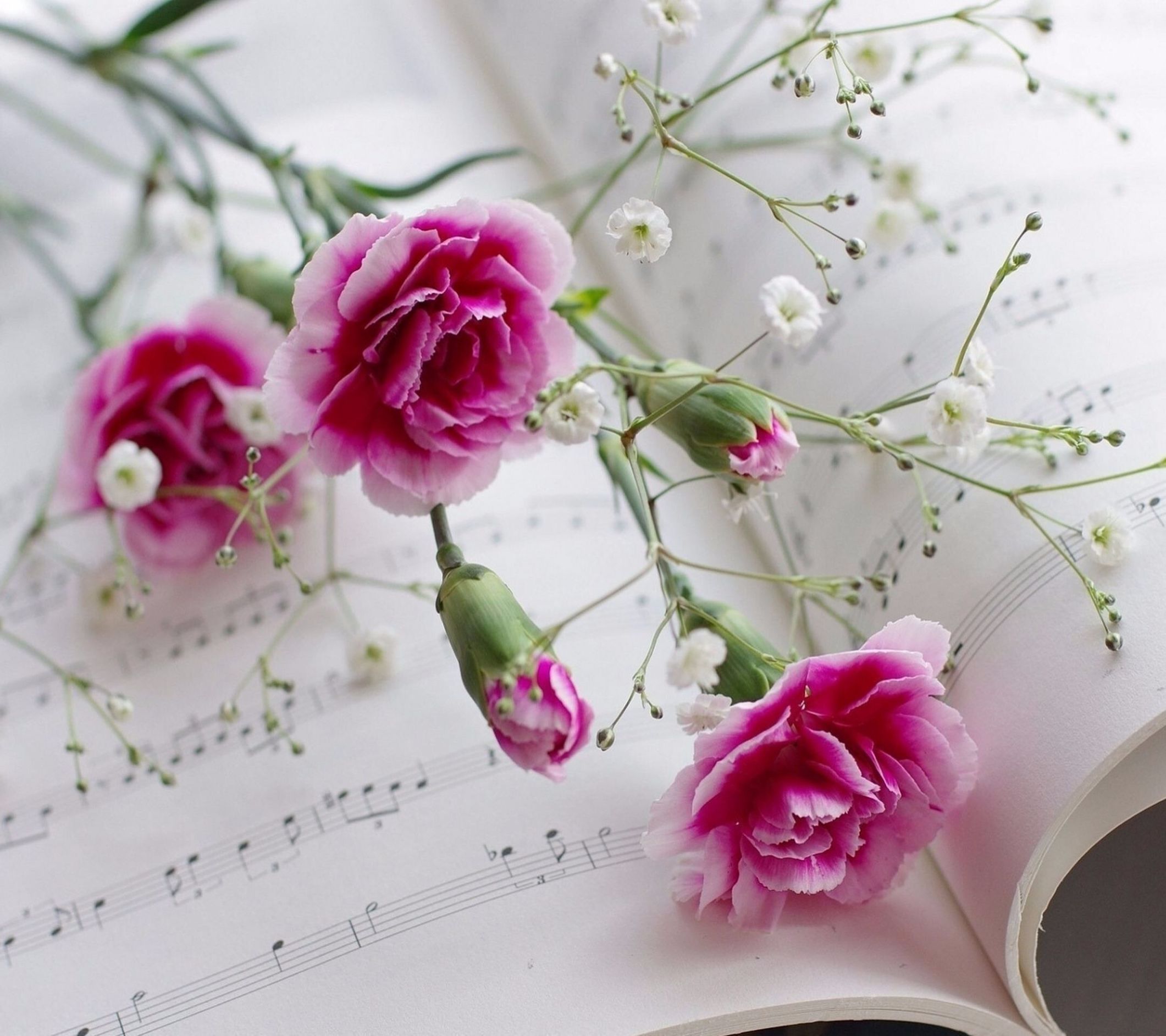 母亲节到了你觉得你妈能快乐吗,母亲节快到了对母亲说些啥