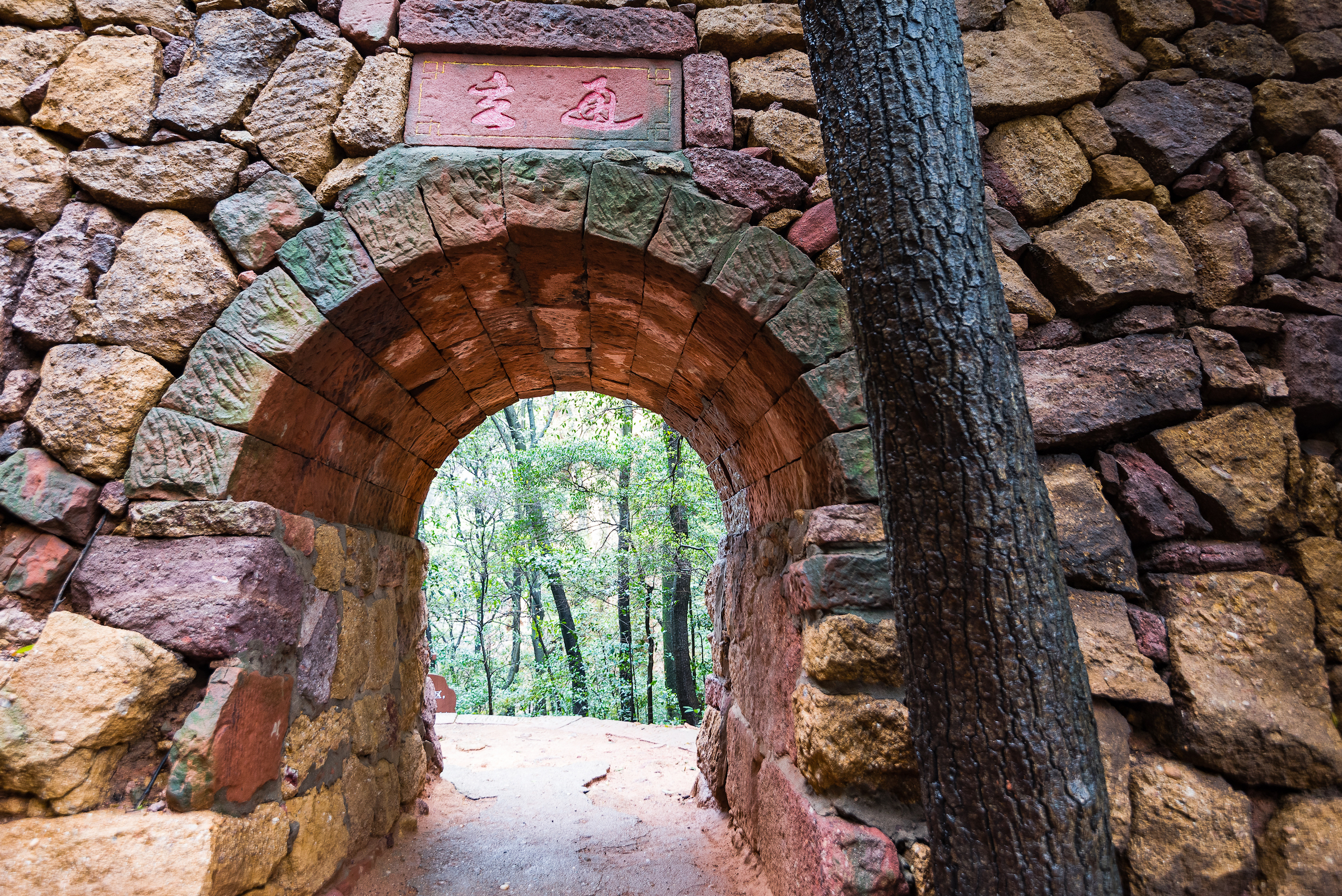 龟峰，创世之神为什么把乌龟的形象封存在这里