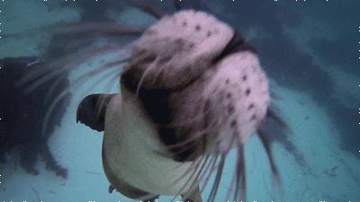 笑一笑，十年少，能治病的笑如何让我们更长寿