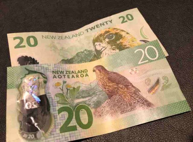 世界上有一种鸟永远不会落地,这世界上有一种鸟笨鸟先飞