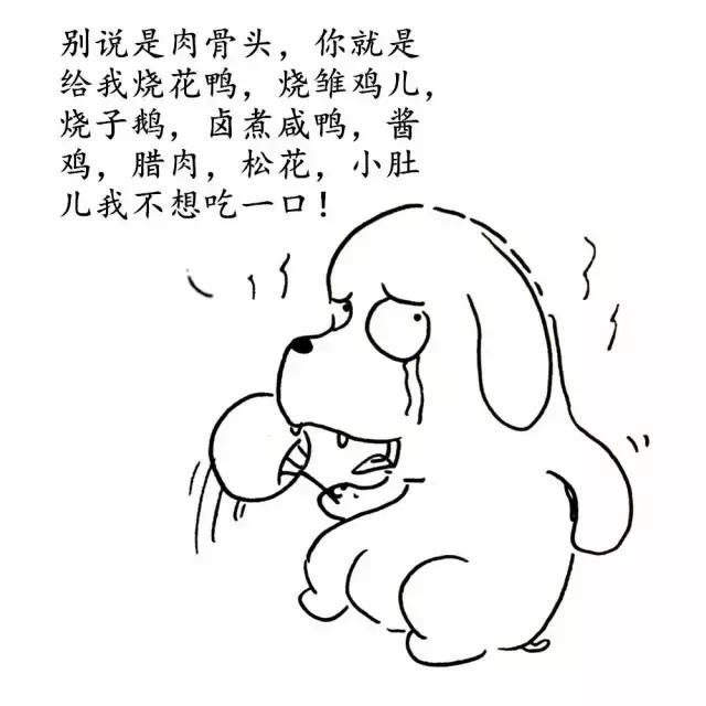 怎么让狗狗变贪吃,夏天怎么让狗毛不乱飞