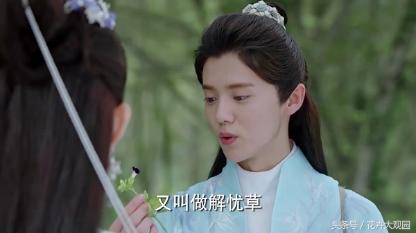 发财树吃多了竟然可以升仙？导演，我读书少你不要骗我！