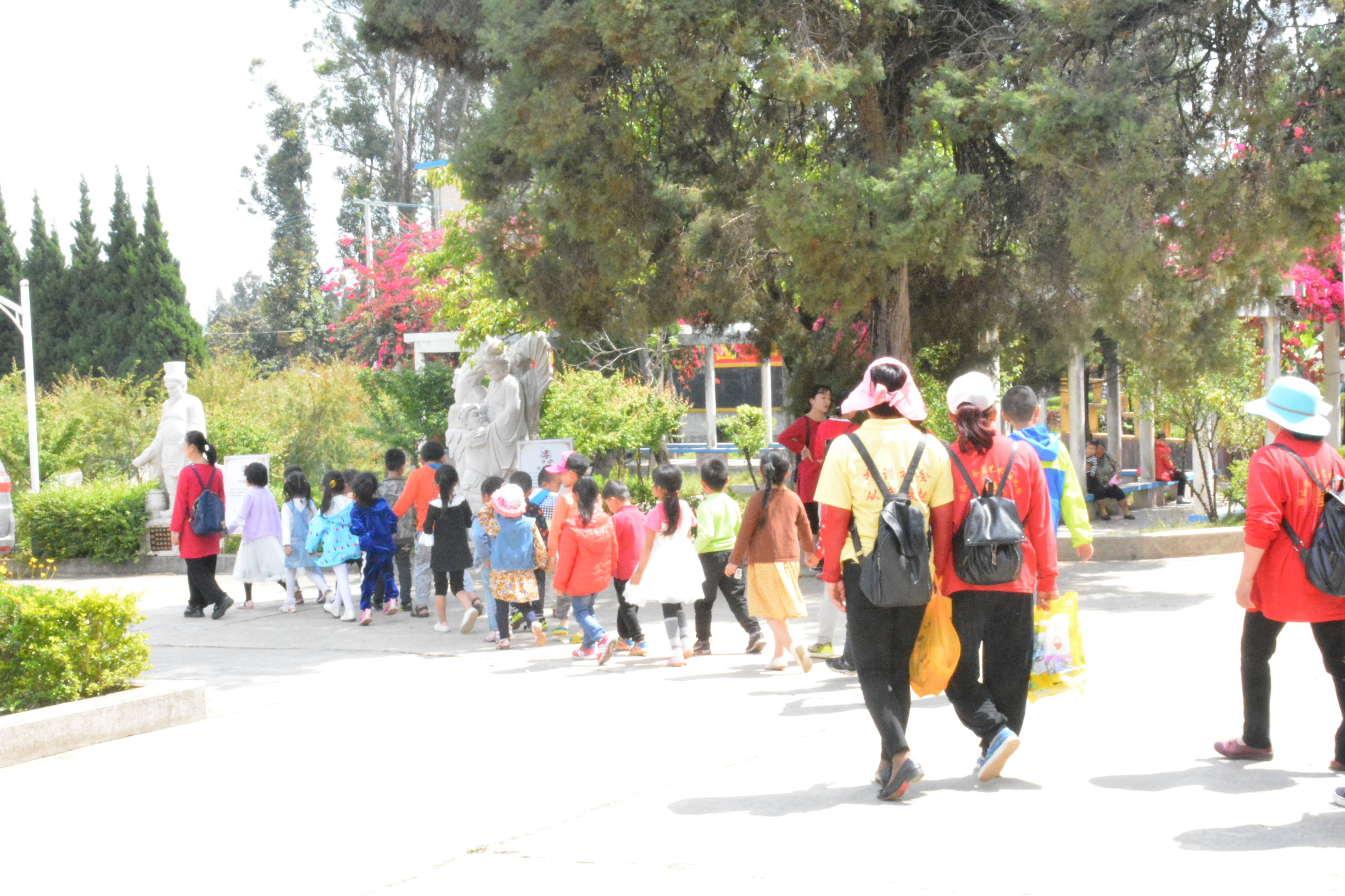 云南省保山市隆阳区伏羲学院,保山伏羲学校