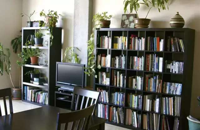 绿萝死了怎么让它活过来,绿萝花怎么养才不会死