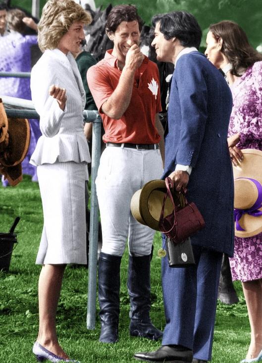 马球运动,马球赛英国王子