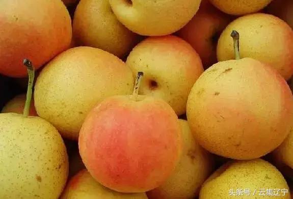 辽宁什么水果有名又好吃,辽宁冬天的应季水果都有什么