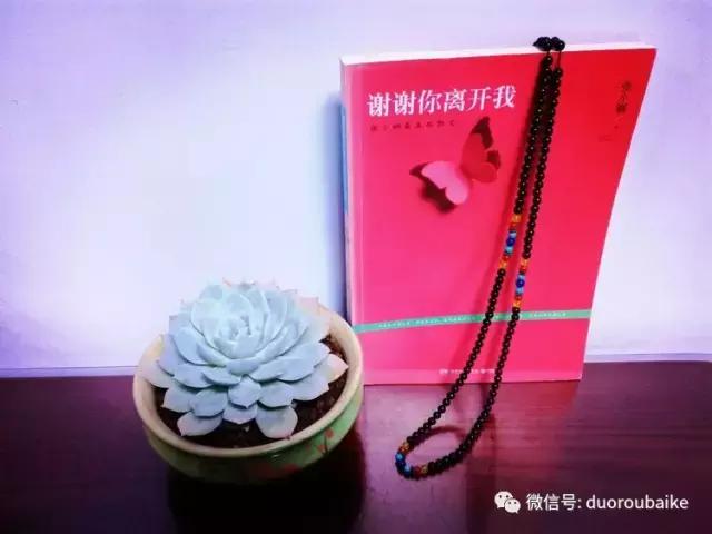 原来多肉与书更配哦！文艺范走起！