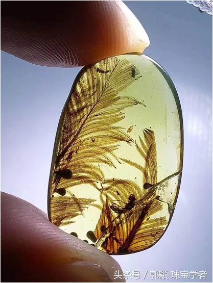 时光终究抵挡不了岁月的脚步,亿万年的光阴