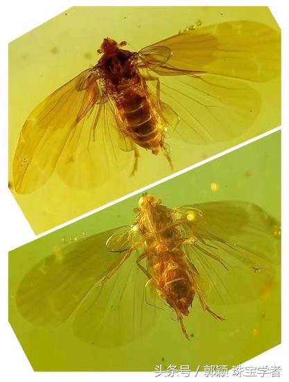 时光终究抵挡不了岁月的脚步,亿万年的光阴