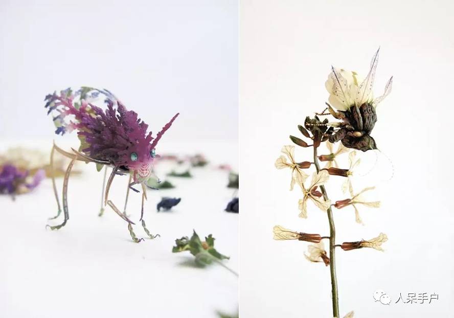 100人民币手工蝴蝶,昆虫大合集手工