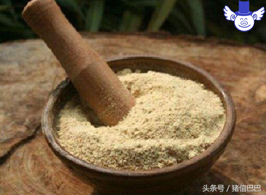 猪厌食症怎么治疗,猪厌食吃什么药最好