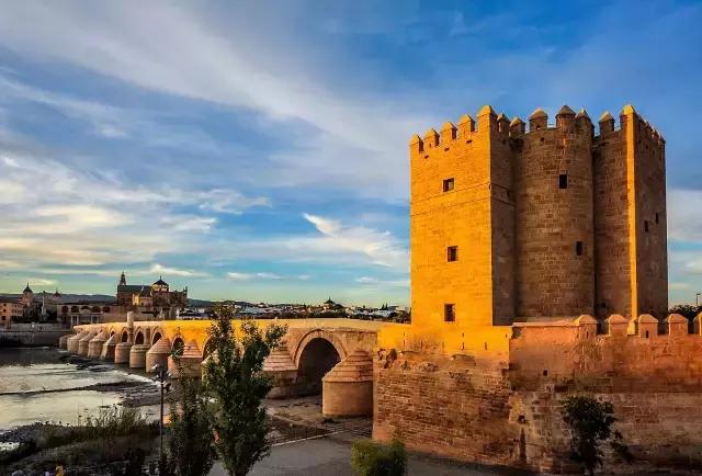 法意瑞和斑马的区别,法意瑞和斑马哪个好