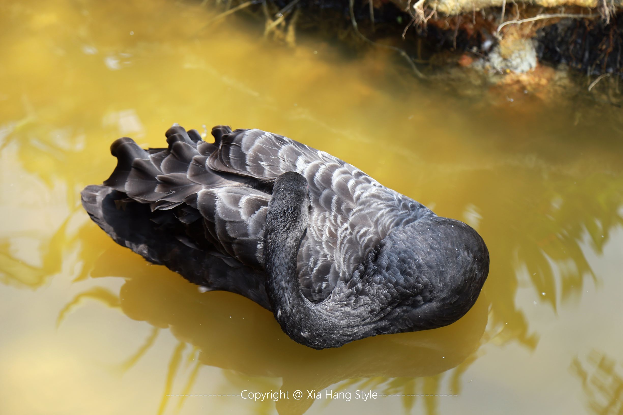 福建最好的5星级酒店,福建最好的五星级酒店