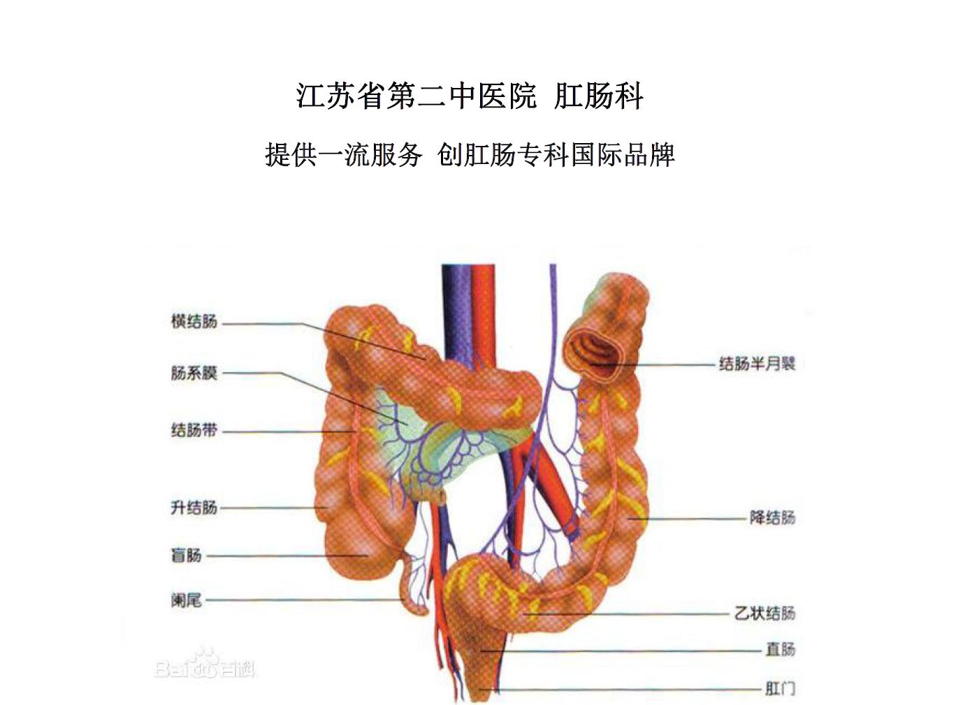 大便隐血肿瘤指标高,大便隐血吃什么中成药