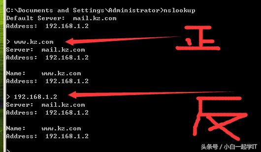 linux配置dns服务器步骤,在linux中dns服务器配置