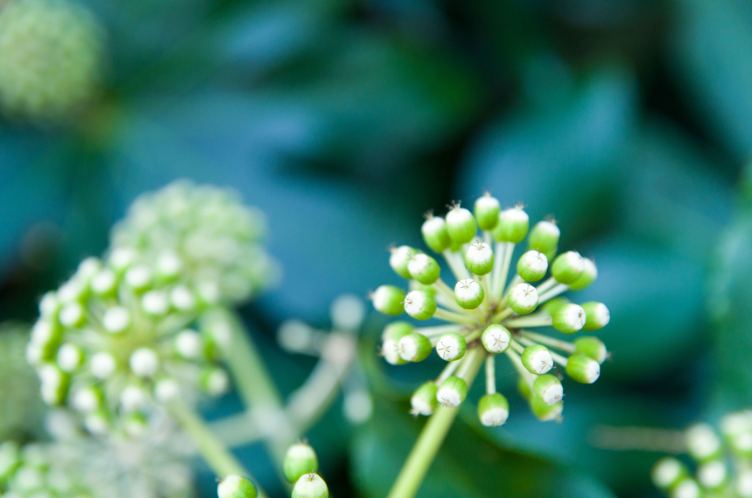 摄影小白推荐相机300左右,拍照好的长焦镜头推荐