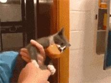 如果你的女朋友太漂亮怎么办,女朋友特别粘人晚上睡觉还要抱着