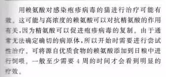 猫咪得了猫鼻支在家吃什么药,猫咪得了猫鼻支用什么药最好