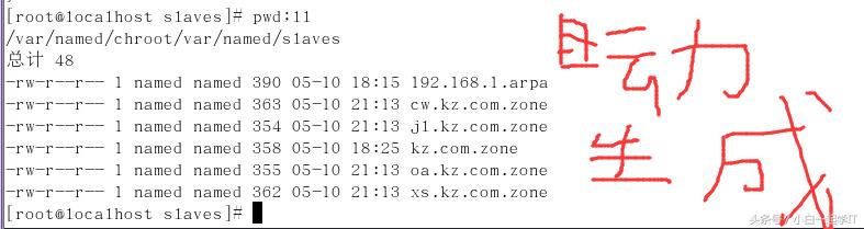 linux配置dns服务器步骤,在linux中dns服务器配置