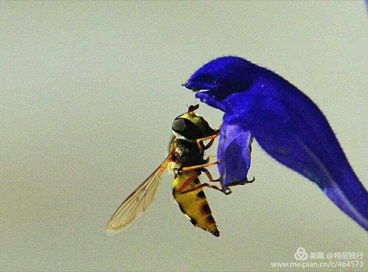 走过四季夏天最美,走过春夏美丽的秋冬