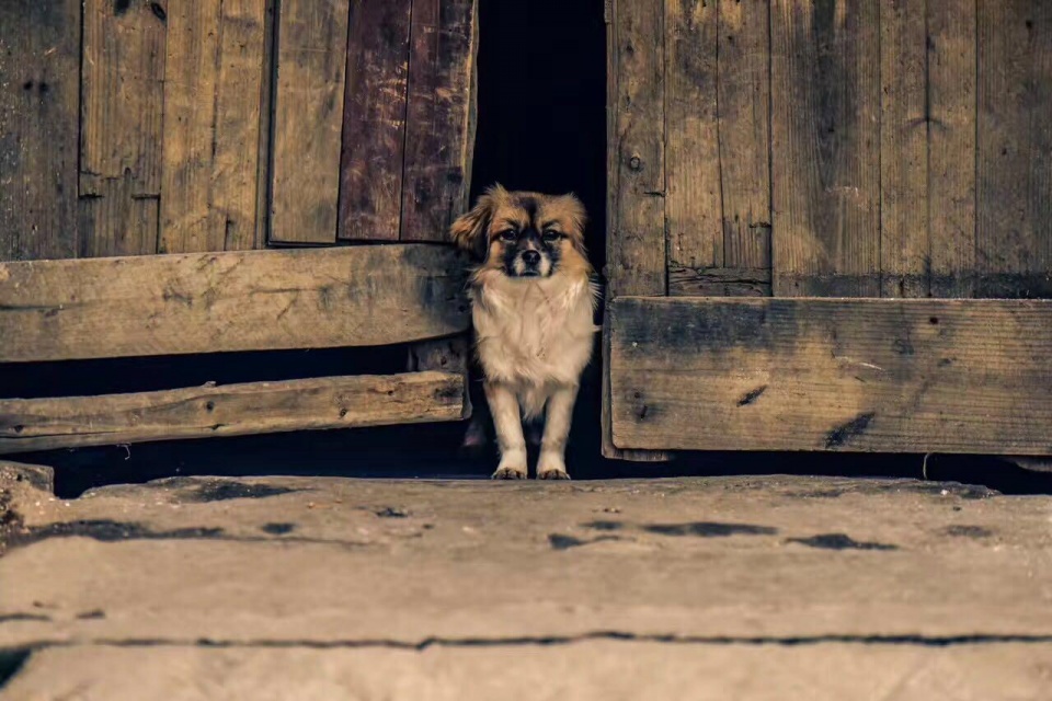 宜春：一座即将“消失”的城市！再看多几眼吧！