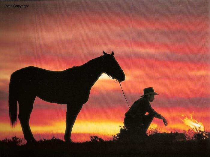 品牌烟的故事,香烟的故事和感悟