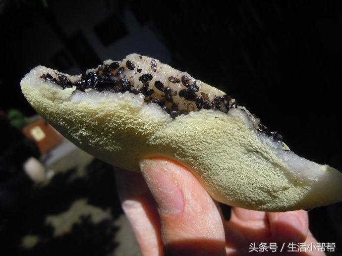 苏州美食松花团子,立夏时令松花团子