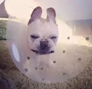 了解这些让胃癌离你远一点,了解这些可以让你少走弯路