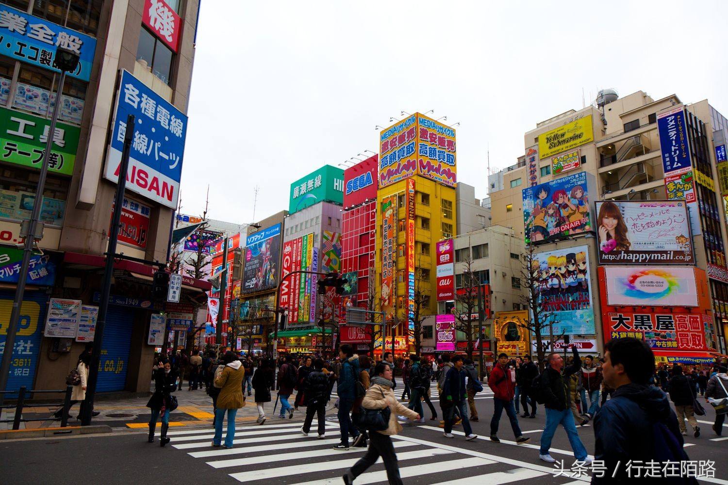 景区坑,景点的那些坑