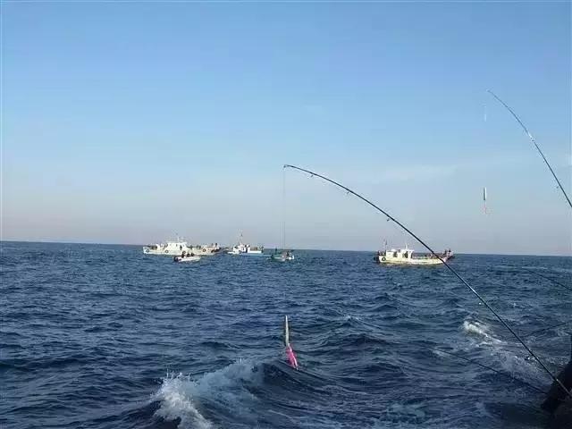 海钓菜鸟必学,海钓基本功练习