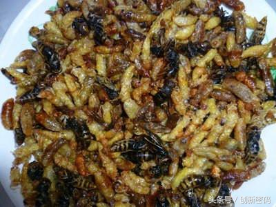 云南人站在食物链的顶端,死也不吃的食物