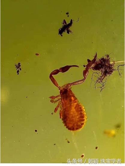 时光终究抵挡不了岁月的脚步,亿万年的光阴