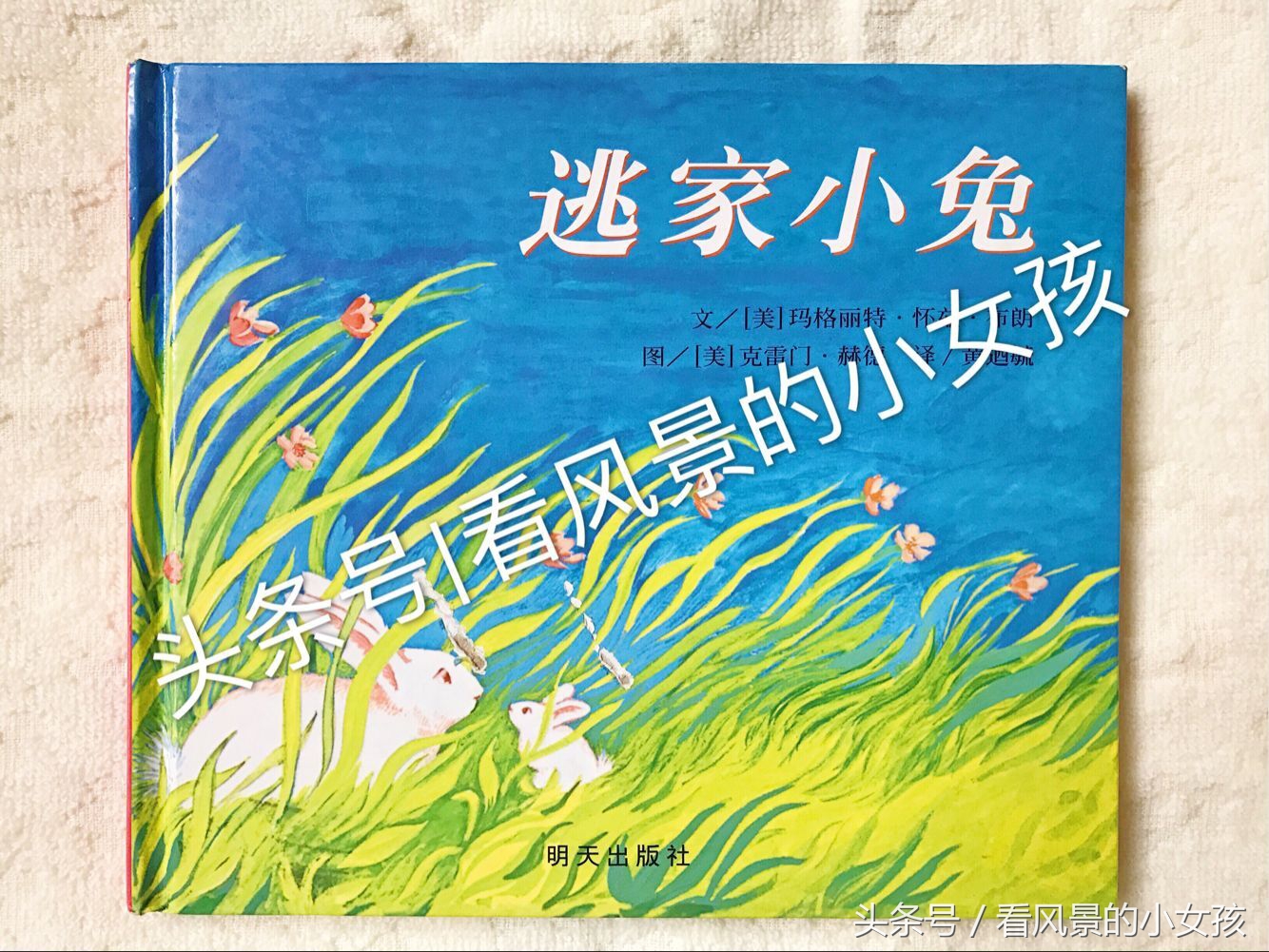 把这些绘本当”二手货“卖掉？不要跟我开这种玩笑我心脏受不了