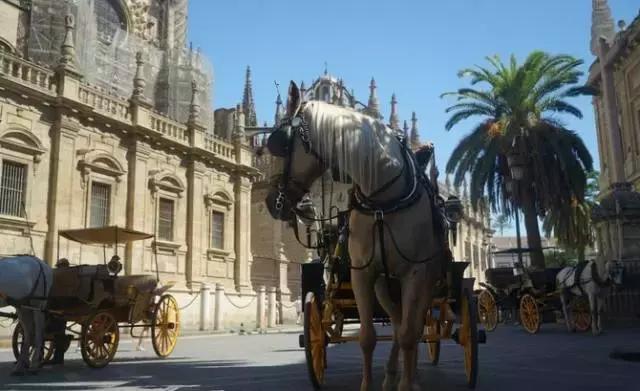 伊比利亚半岛的恋之歌(中)