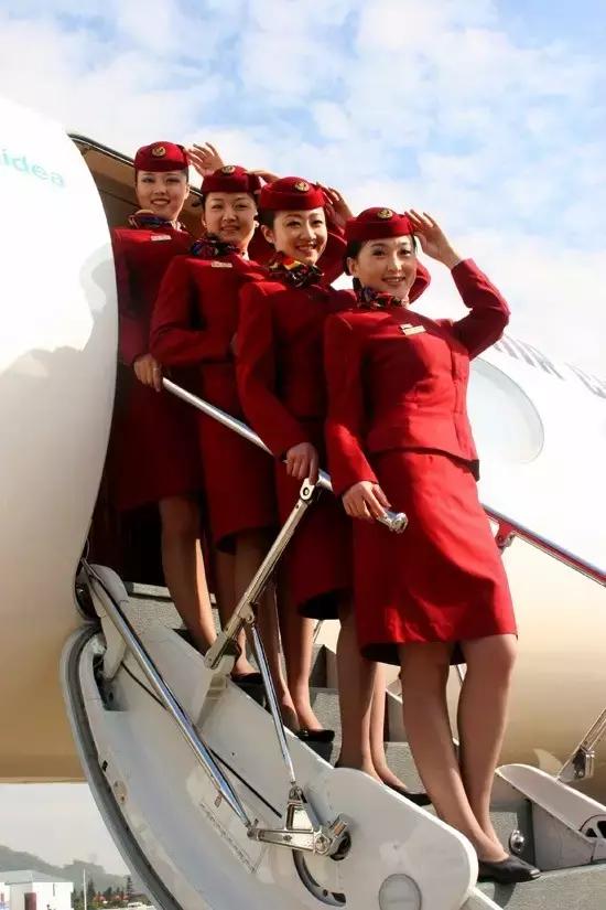 当“鲁雁”遇到“金凤”