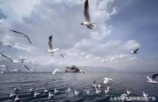 2万5千公里｜跨越半个中国，我们在路上等你